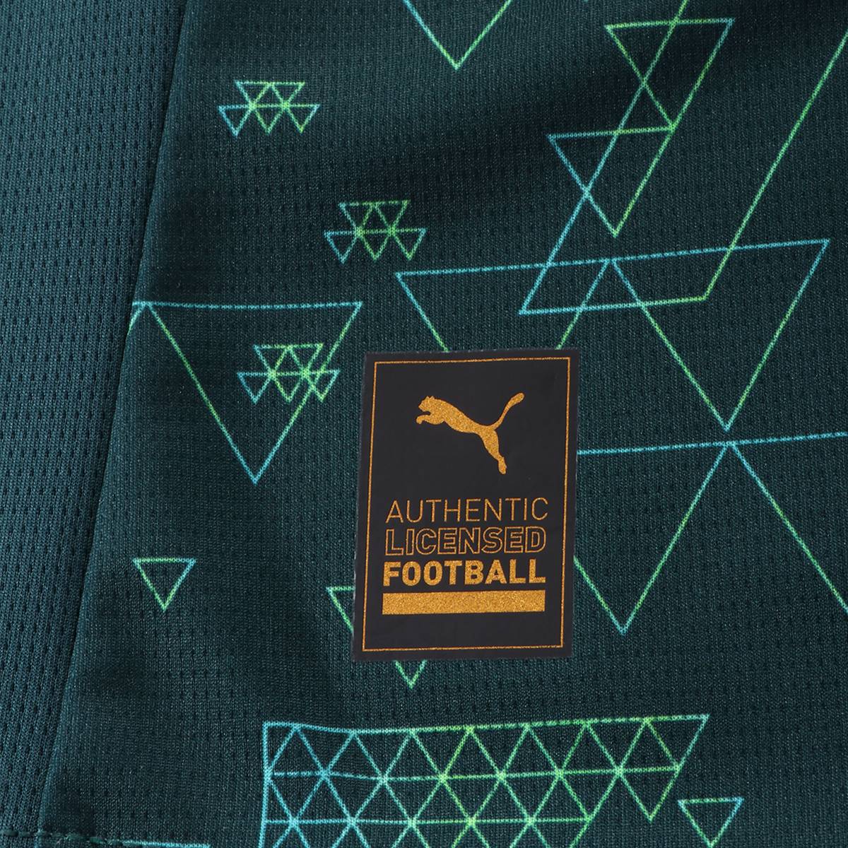 Jersey Manchester City Modelo Cuarto Marca Puma