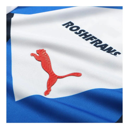 Jersey Playera Puma De Rayados De Monterrey Version Jugador