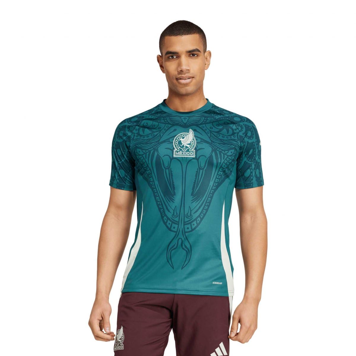 Jersey Adidas de la Seleccion Nacional de Mexico de Entrenamiento para Hombre